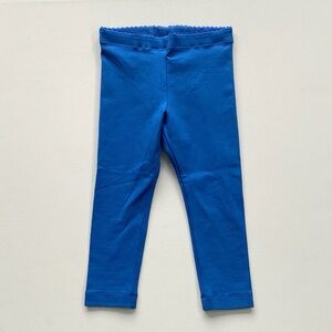 NWT Tea Collection Blue Leggings